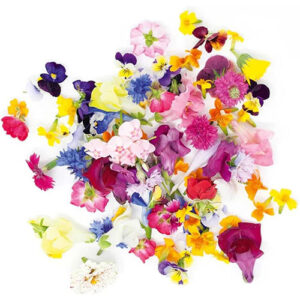 Edible Flowers