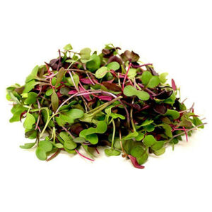 Microgreens (Mix)